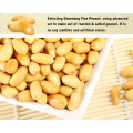 Chinese Peanut Roasted Peanut High Quality